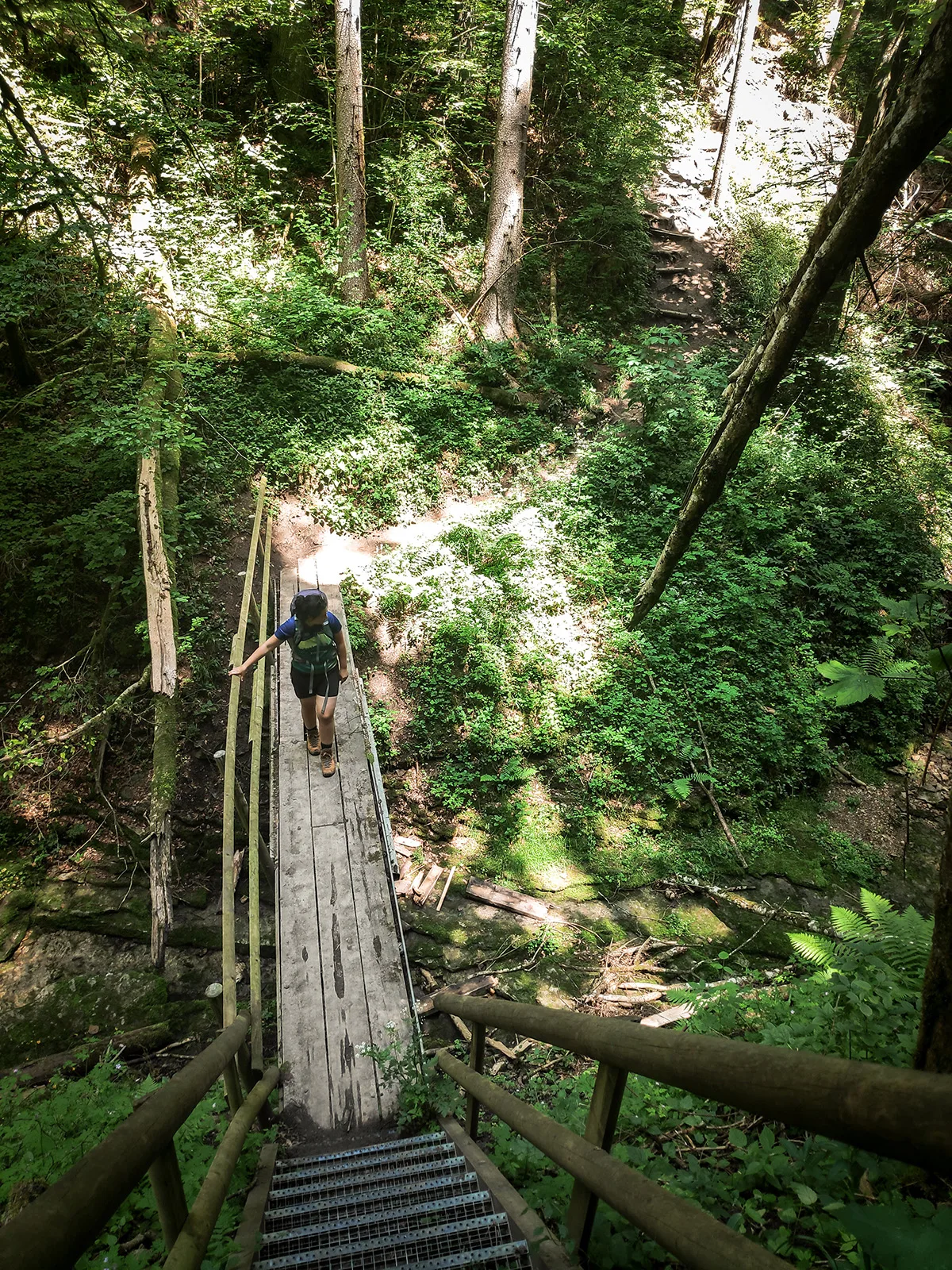 Wandelen in het Zwarte Woud
