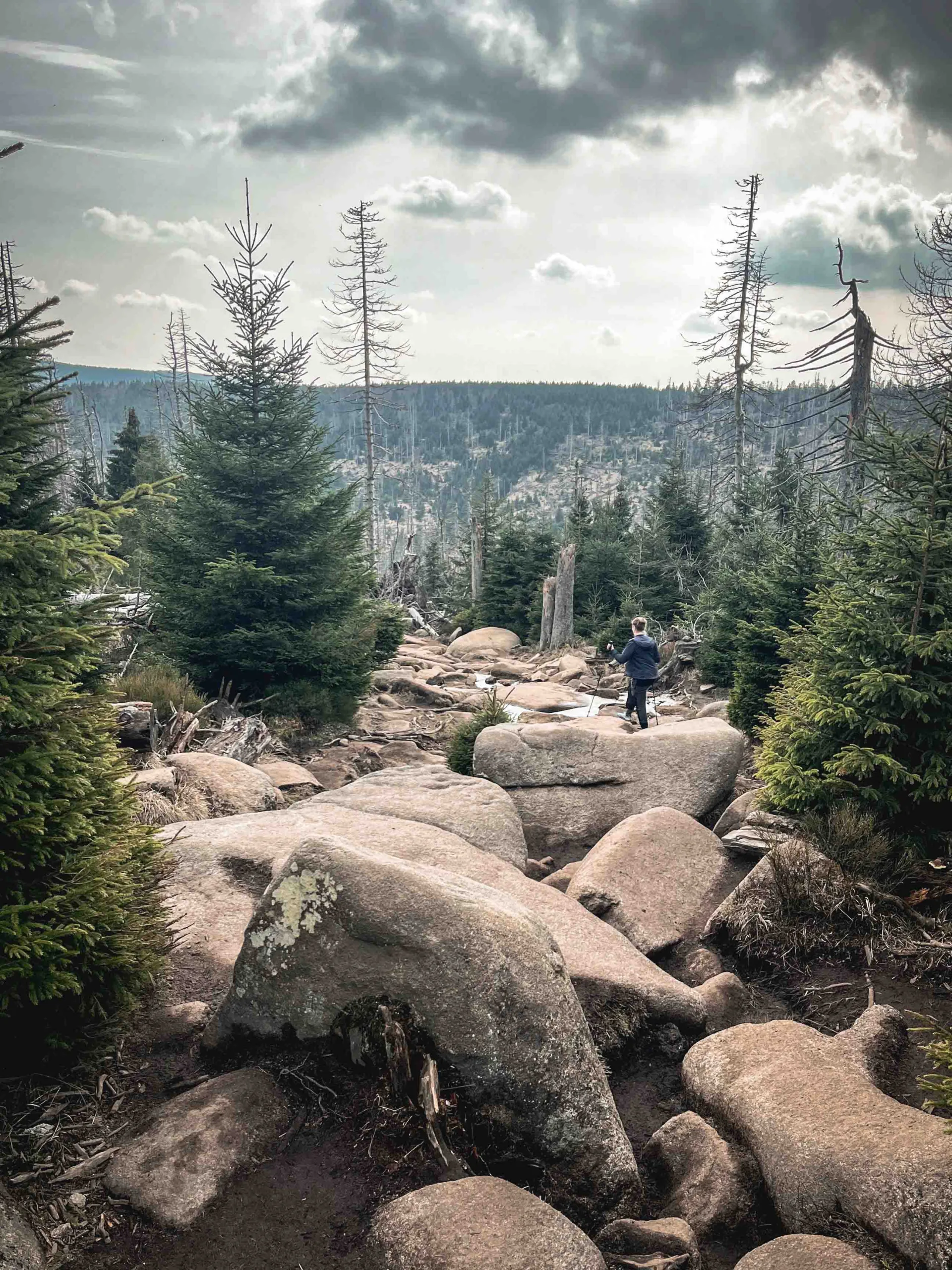 Wandelen in de Harz