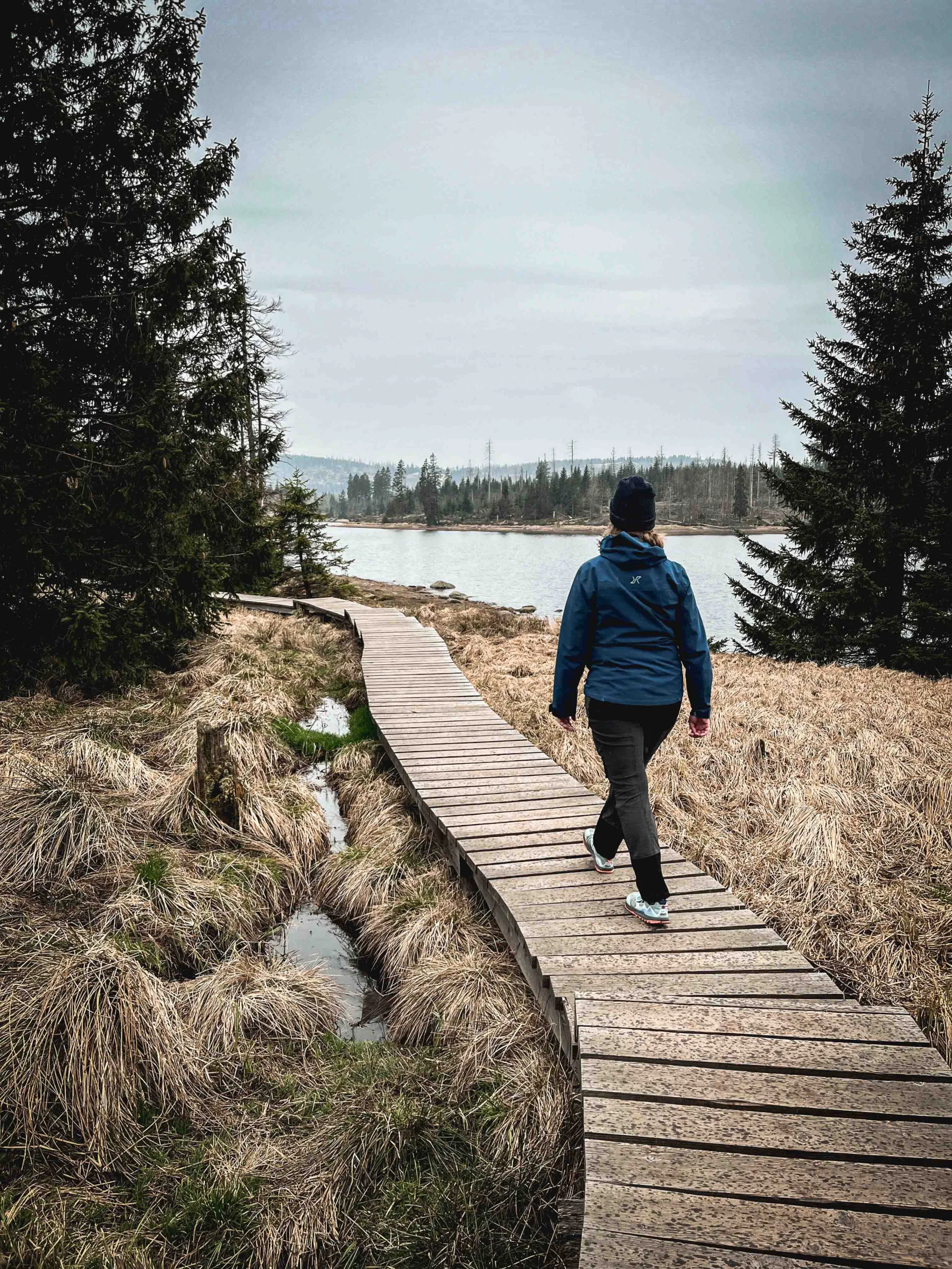 Wandelen in de Harz