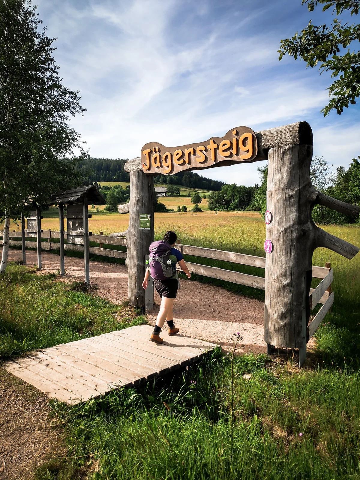 Wandelen in het Zwarte Woud