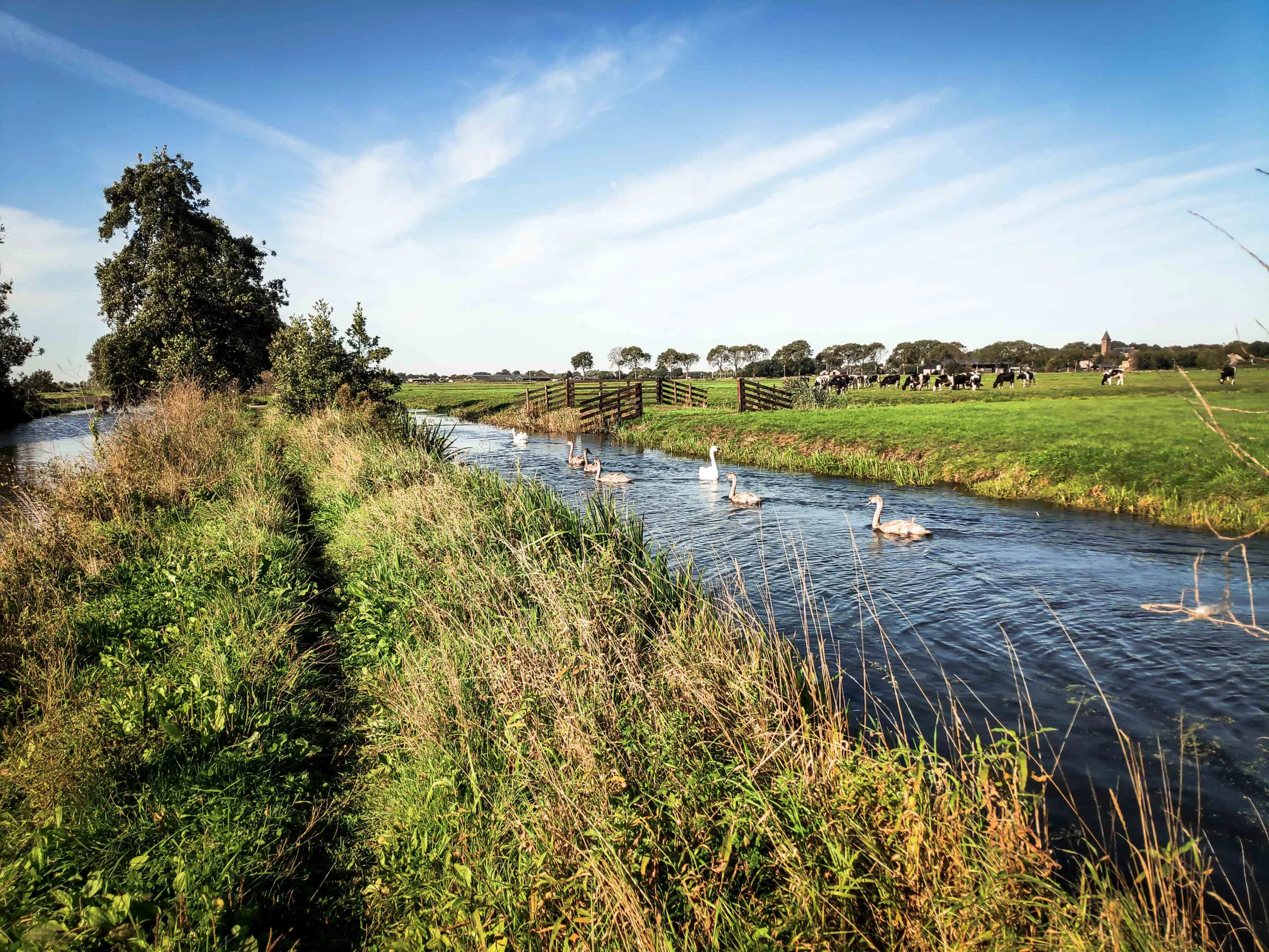 Trage Tochten: De mooiste onverharde wandelroutes door de natuur