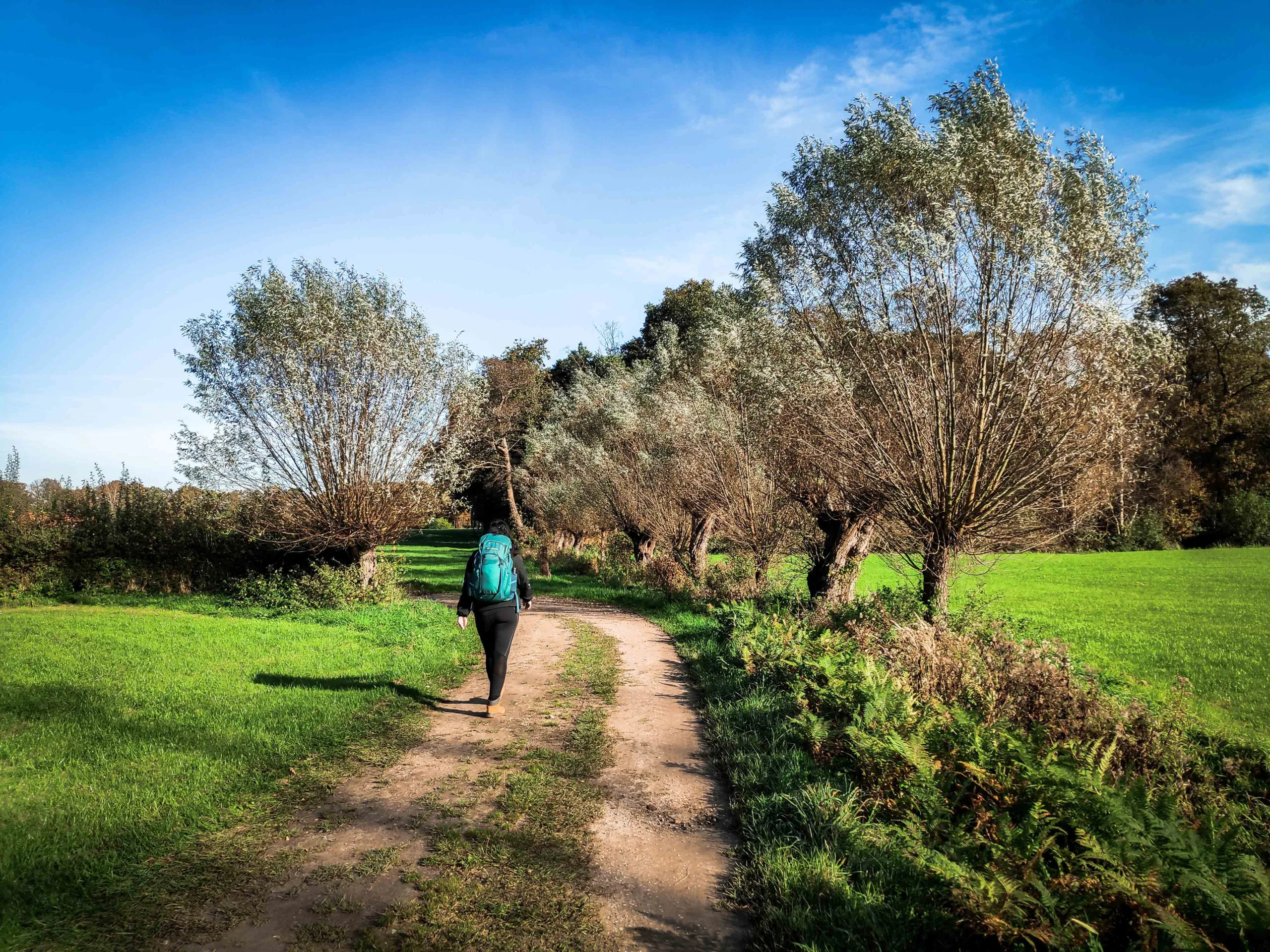 Trage Tochten: De mooiste onverharde wandelroutes door de natuur