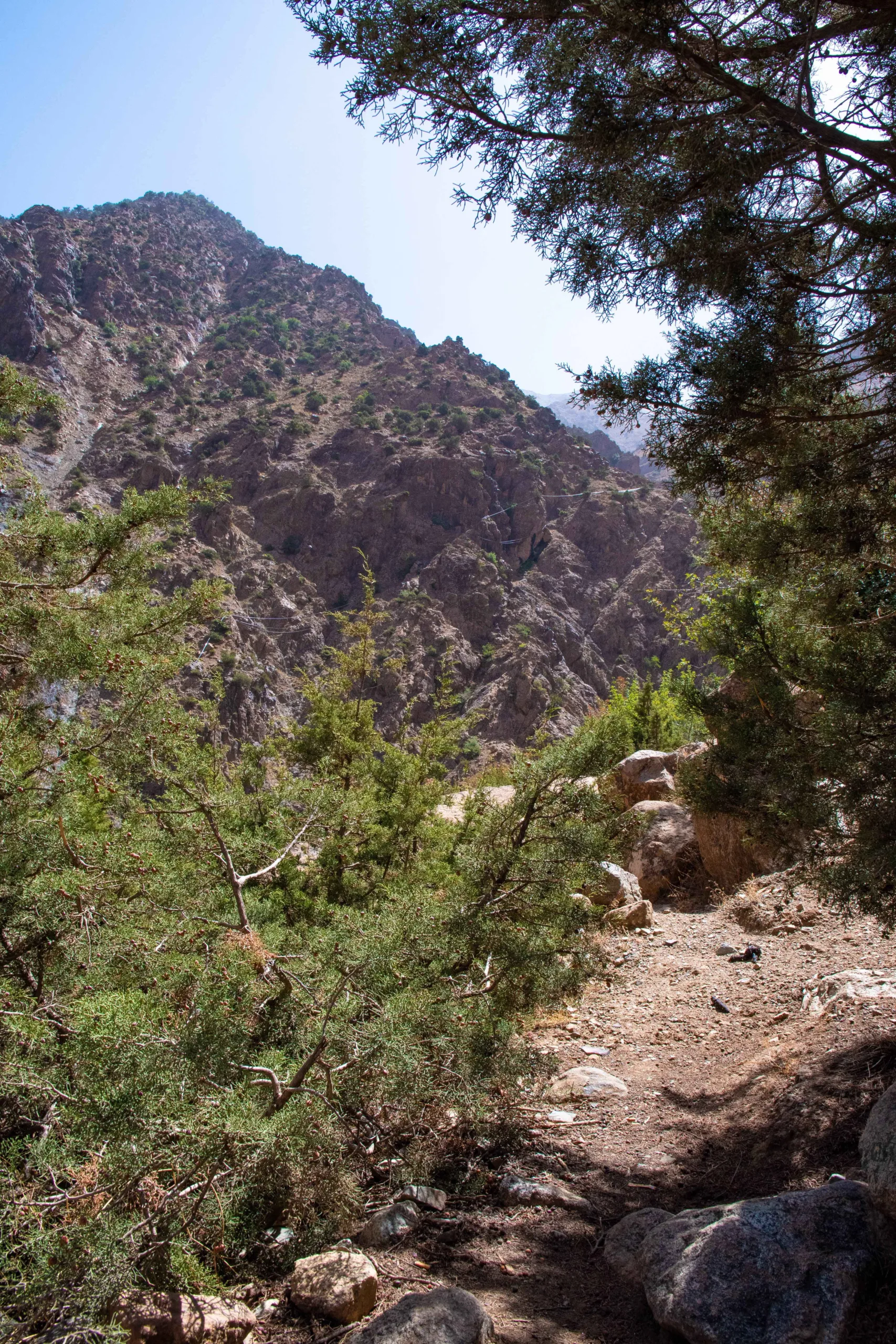 Wandelen in Marokko - Dagtrip Ourika-vallei