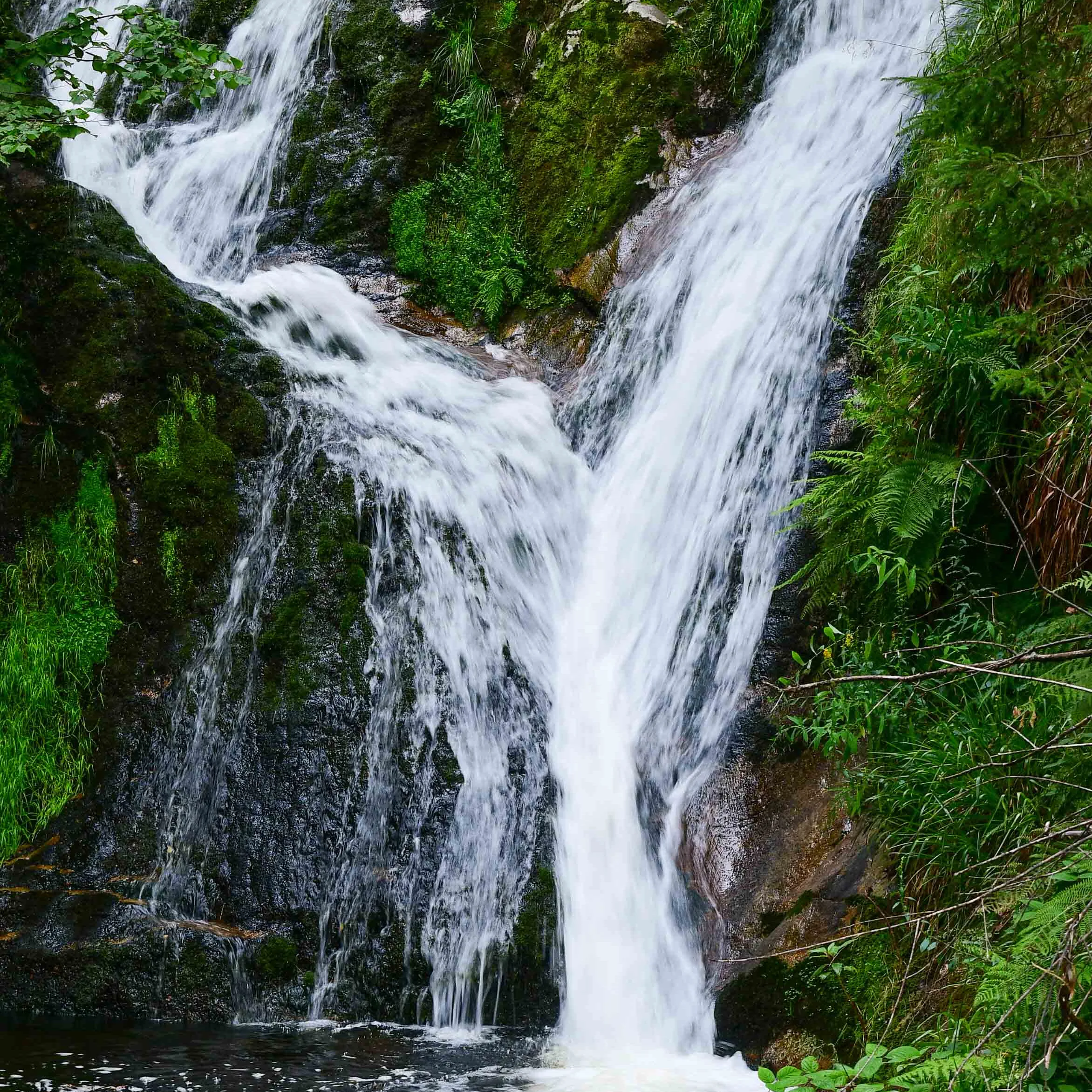 Sieben Bütten