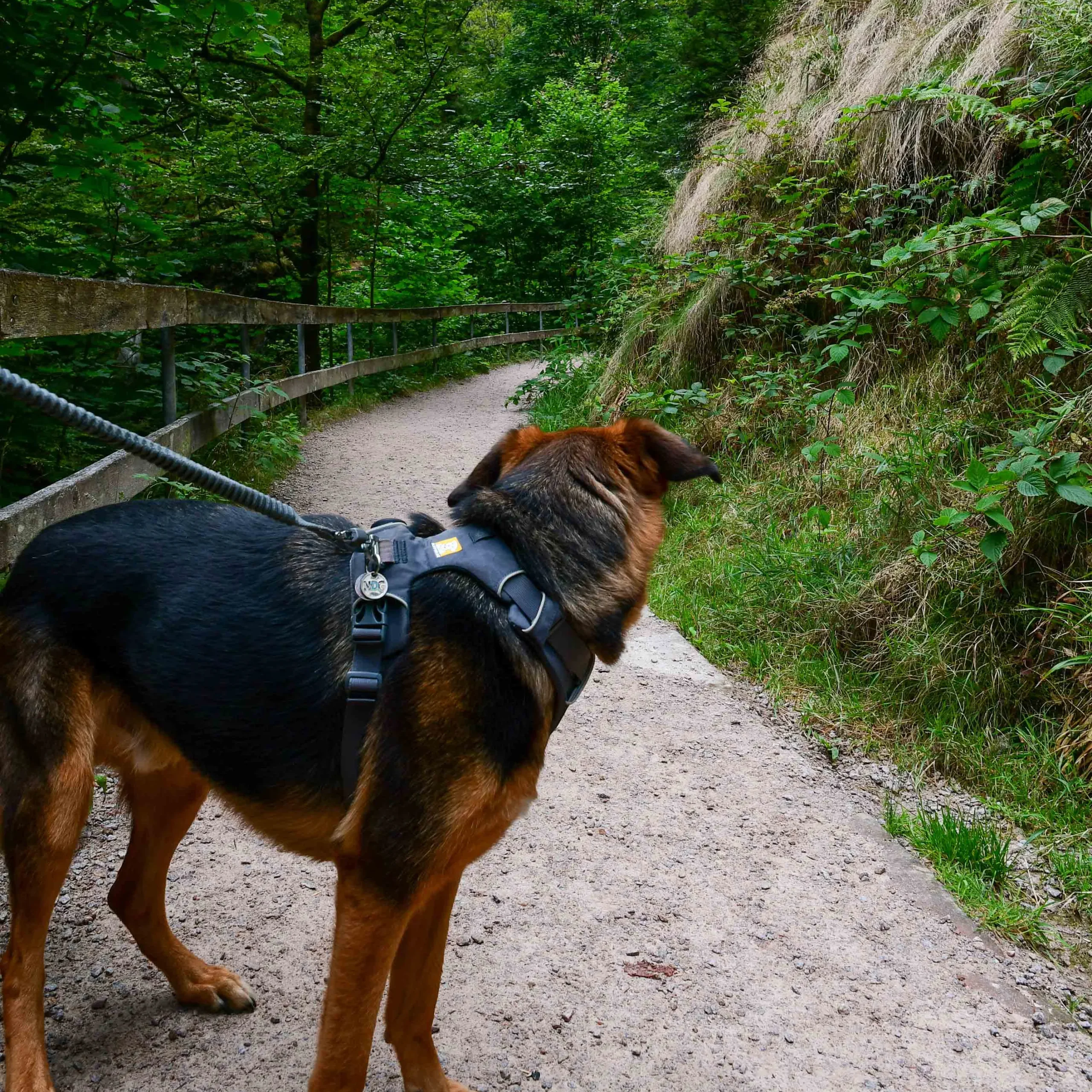 Wasserfälle Allerheiligen Haupteingang