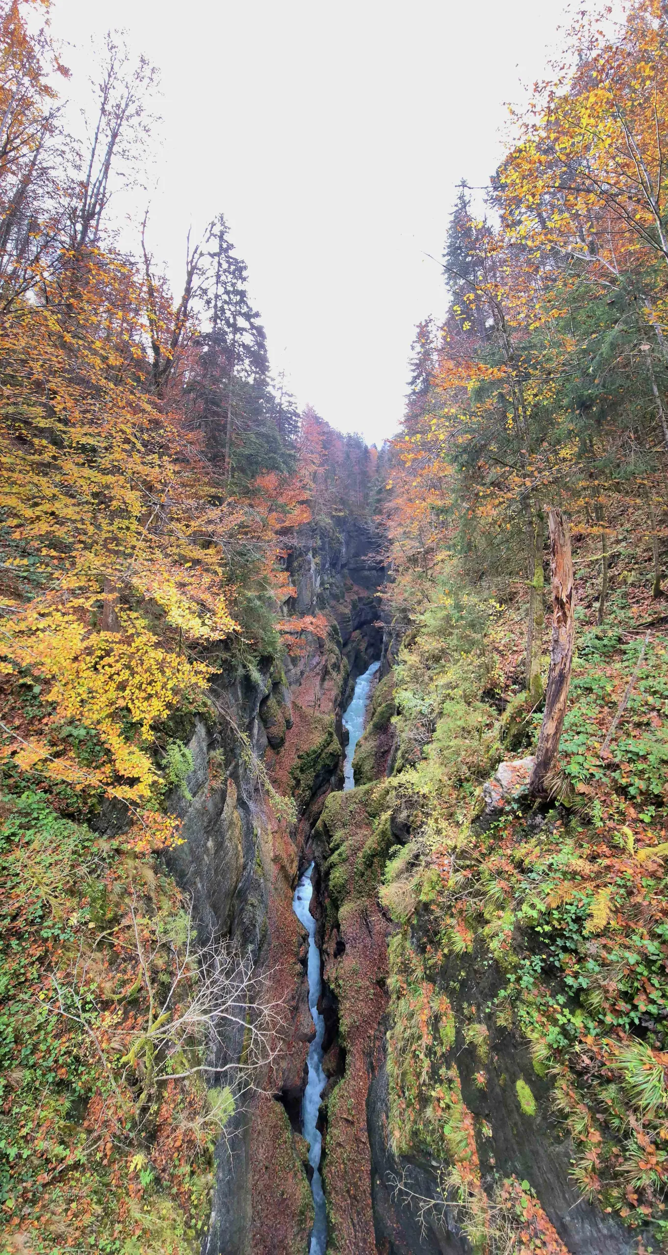 Wandelen rond de Eibsee