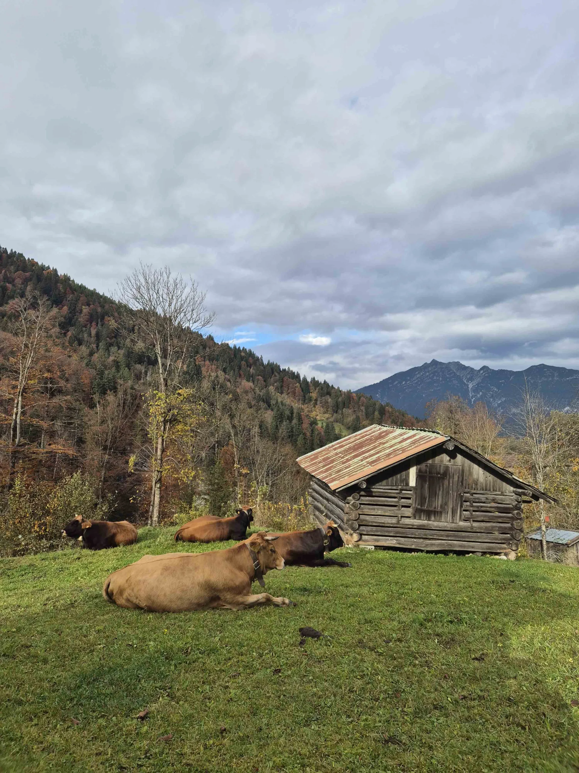 Wandelen rond de Eibsee