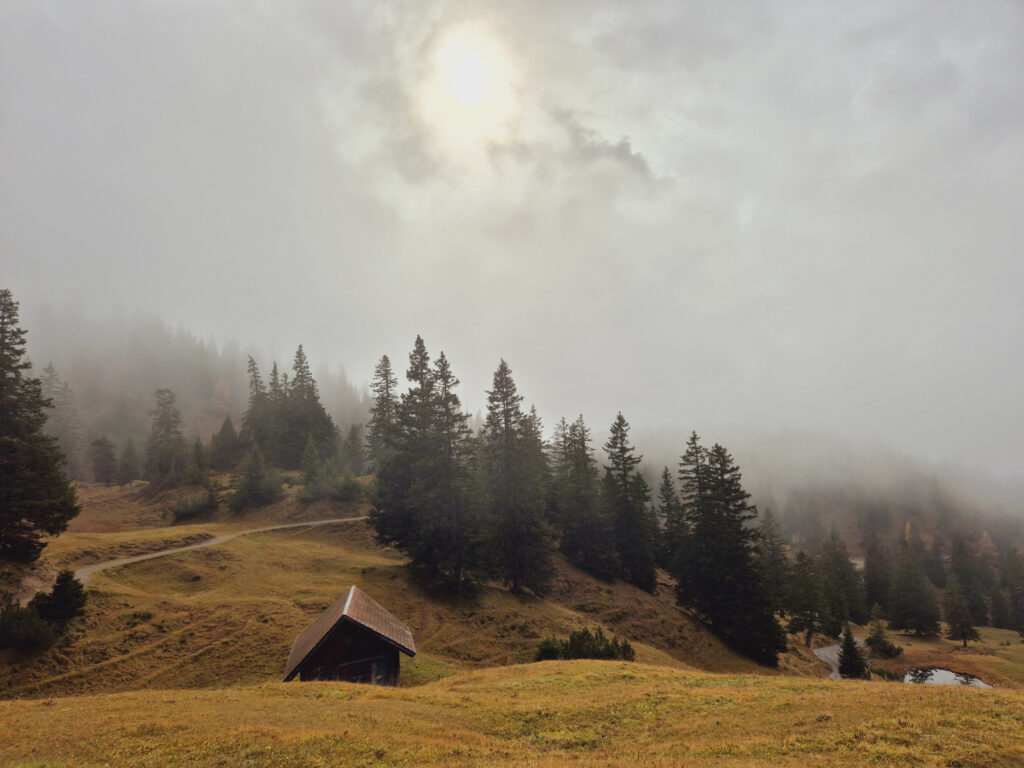 Wandelen in Liechtenstein - woud met huisje