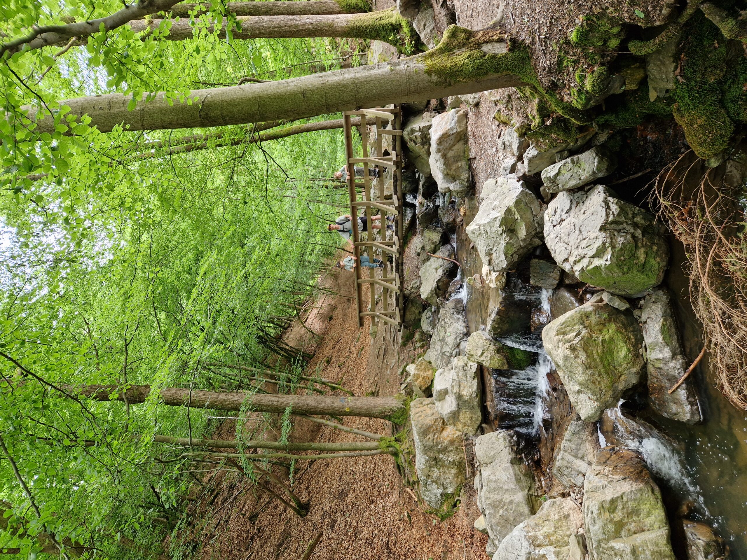 Ninglinspo hike met kinderen - vader met twee kinderen op een brug in het bos
